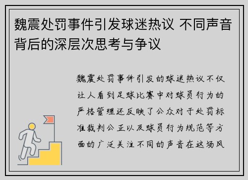 魏震处罚事件引发球迷热议 不同声音背后的深层次思考与争议