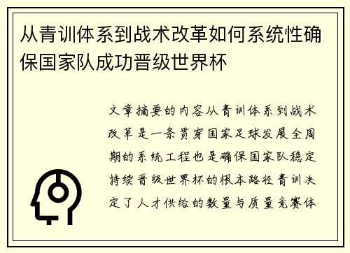 从青训体系到战术改革如何系统性确保国家队成功晋级世界杯